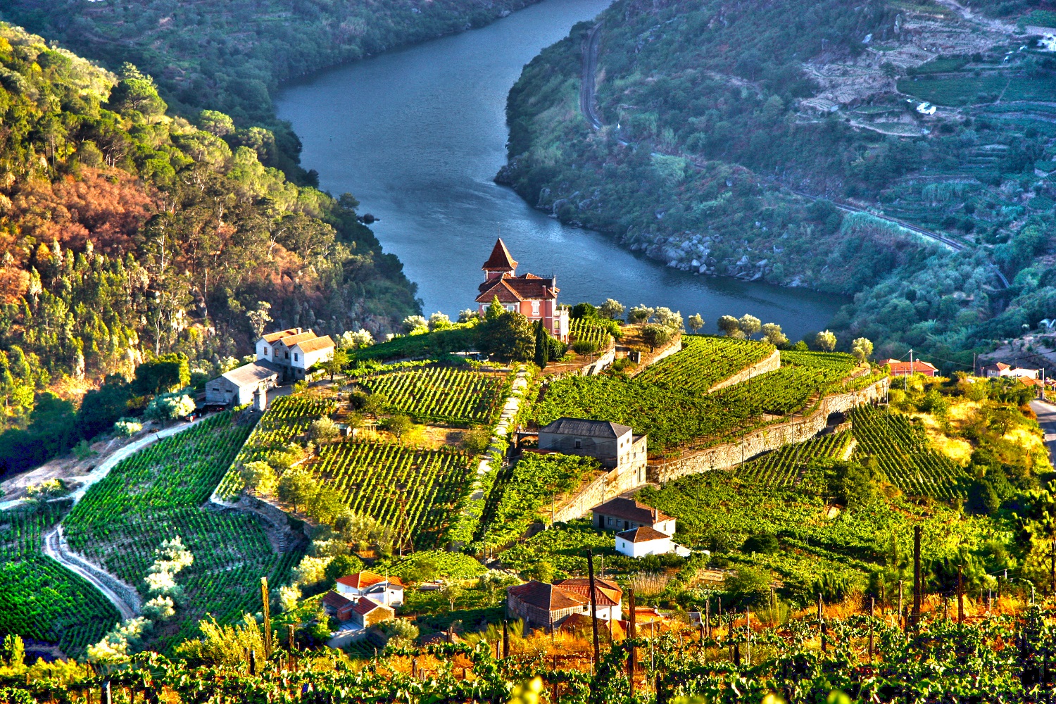 Douro Valley, Portugal small